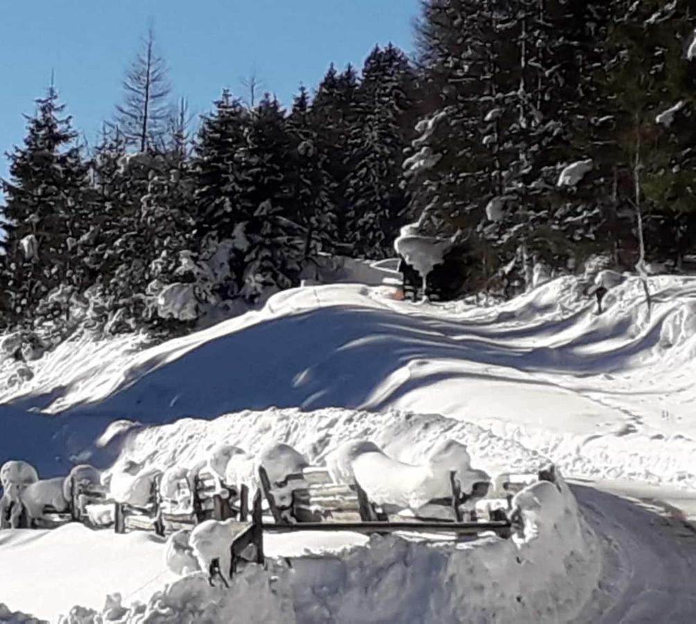 Apartment Jasmin Neustift im Stubaital Luaran gambar