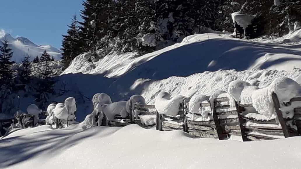 Apartment Jasmin Neustift im Stubaital Luaran gambar